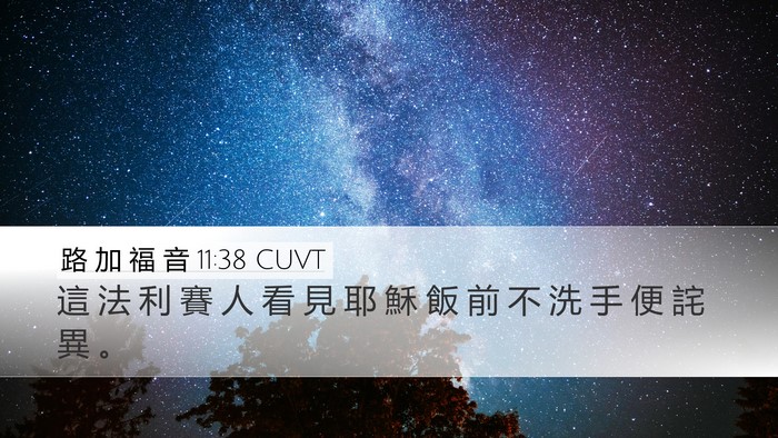 路 加 福 音 11:38 CUVT Bible Verse Image