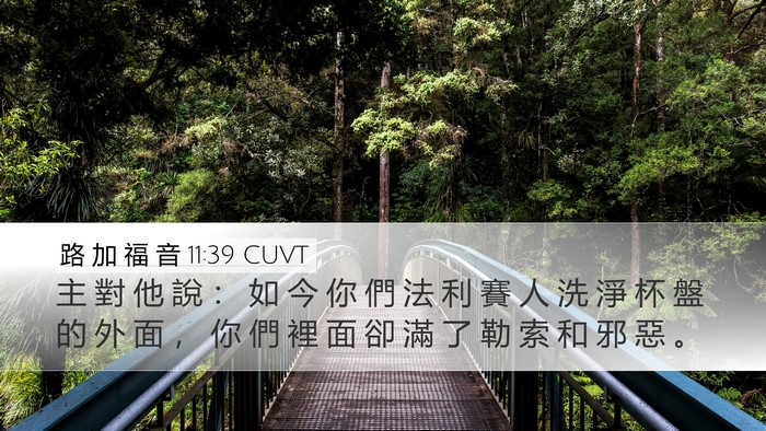 路 加 福 音 11:39 CUVT Bible Verse Image