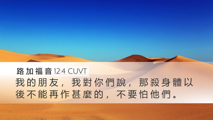 路 加 福 音 12:4 CUVT Bible Verse Image