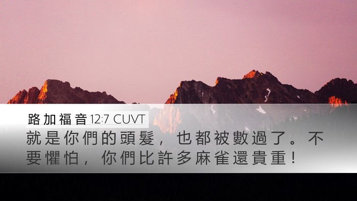 路 加 福 音 12:7 CUVT Bible Verse Image
