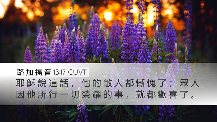 路 加 福 音 13:17 CUVT Bible Verse Image