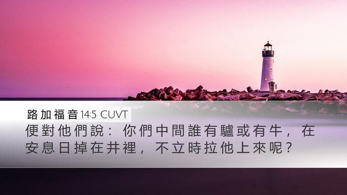路 加 福 音 14:5 CUVT Bible Verse Image