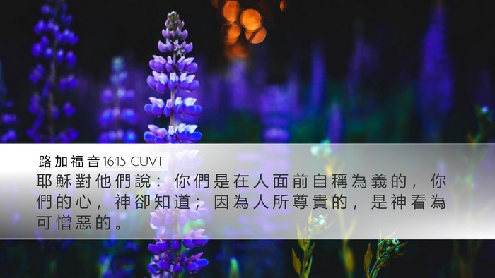 路 加 福 音 16:15 CUVT Bible Verse Image