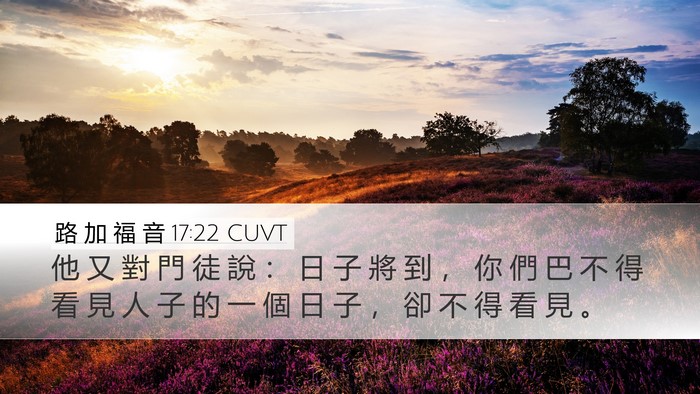 路 加 福 音 17:22 CUVT Bible Verse Image