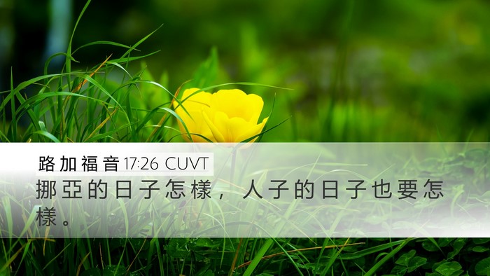 路 加 福 音 17:26 CUVT Bible Verse Image