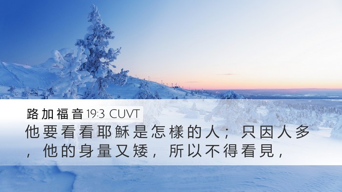 路 加 福 音 19:3 CUVT Bible Verse Image