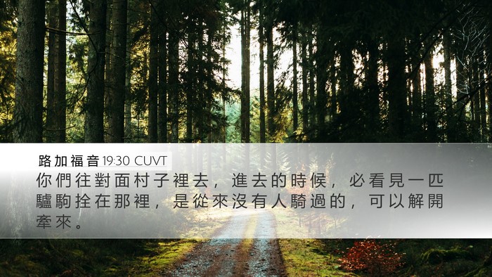 路 加 福 音 19:30 CUVT Bible Verse Image