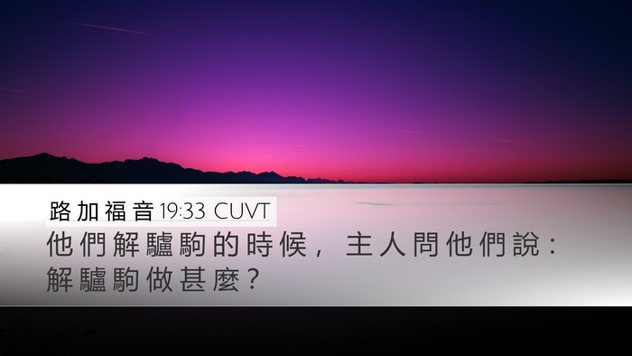 路 加 福 音 19:33 CUVT Desktop Wallpaper - 他 們 解 驢 駒 的 時 候 ， 主 人 問 - Desktop Bible Verse Wallpaper