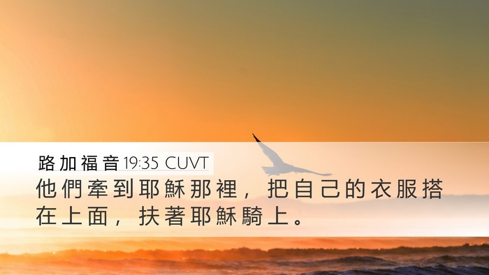 路 加 福 音 19:35 CUVT Desktop Wallpaper - 他 們 牽 到 耶 穌 那 裡 ， 把 自 己 - Desktop Bible Verse Wallpaper