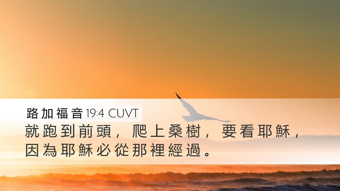 路 加 福 音 19:4 CUVT Desktop Wallpaper - 就 跑 到 前 頭 ， 爬 上 桑 樹 ， 要 - Desktop Bible Verse Wallpaper