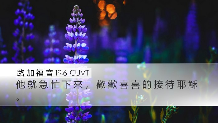 路 加 福 音 19:6 CUVT Bible Verse Image