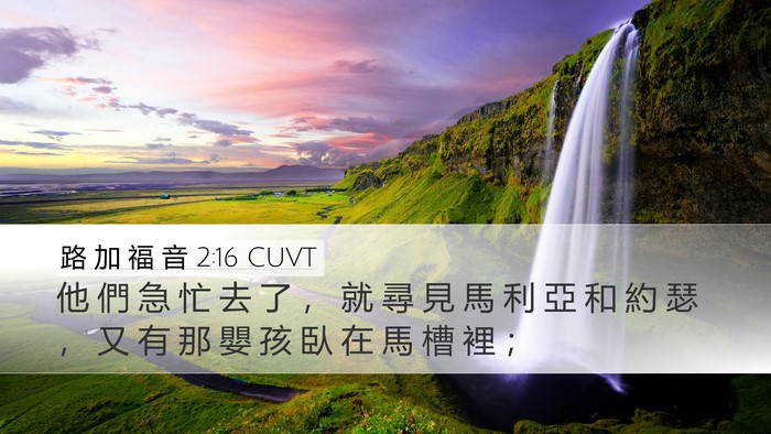 路 加 福 音 2:16 CUVT Bible Verse Image