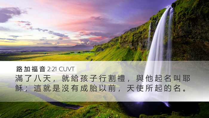 路 加 福 音 2:21 CUVT Bible Verse Image