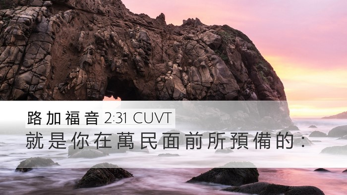 路 加 福 音 2:31 CUVT Desktop Wallpaper - 就 是 你 在 萬 民 面 前 所 預 備 的 - Desktop Bible Verse Wallpaper