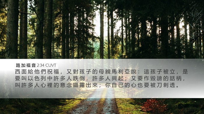 路 加 福 音 2:34 CUVT Bible Verse Image