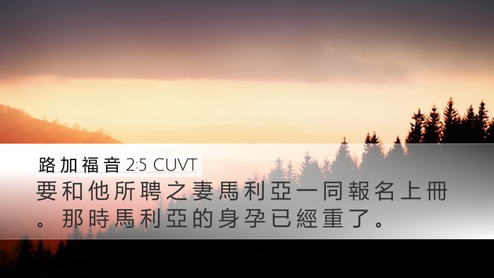 路 加 福 音 2:5 CUVT Desktop Wallpaper - 要 和 他 所 聘 之 妻 馬 利 亞 一 同 - Desktop Bible Verse Wallpaper