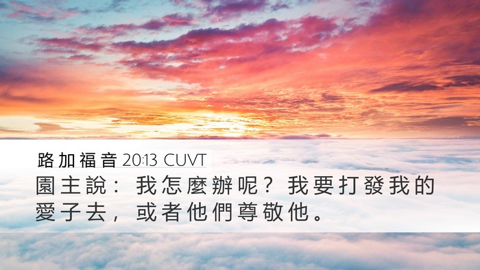 路 加 福 音 20:13 CUVT Bible Verse Image