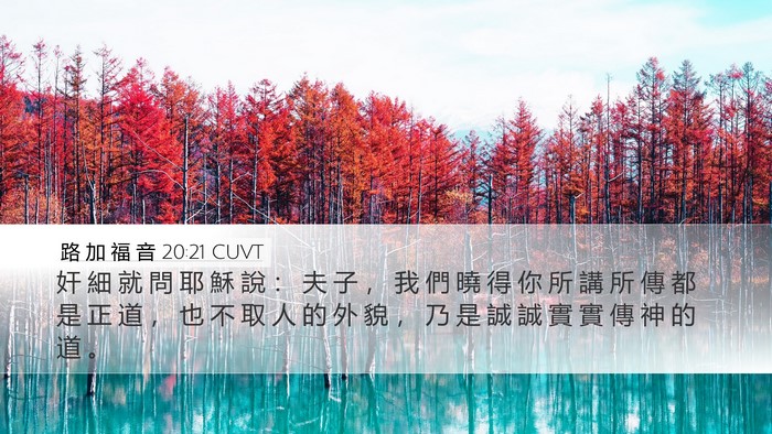 路 加 福 音 20:21 CUVT Bible Verse Image