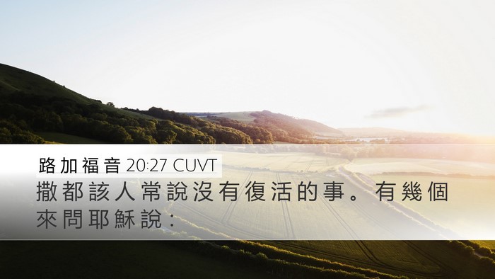 路 加 福 音 20:27 CUVT Bible Verse Image