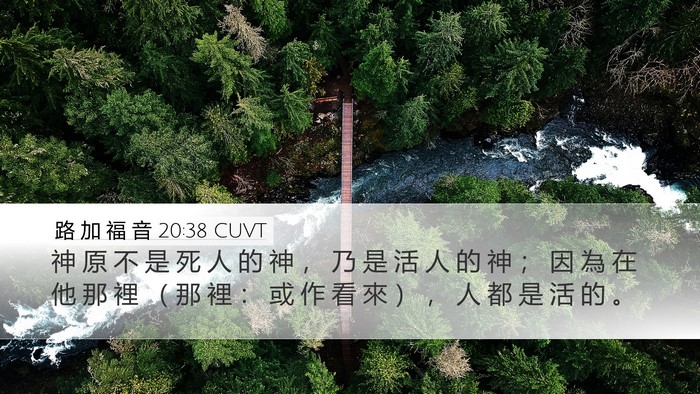 路 加 福 音 20:38 CUVT Desktop Wallpaper - 神 原 不 是 死 人 的 神 ， 乃 是 活 - Desktop Bible Verse Wallpaper