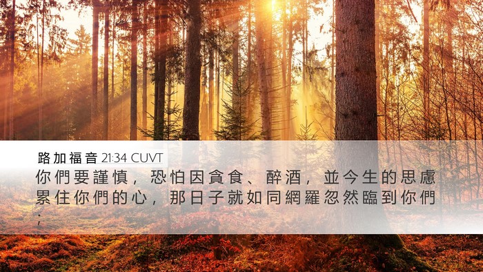 路 加 福 音 21:34 CUVT Bible Verse Image