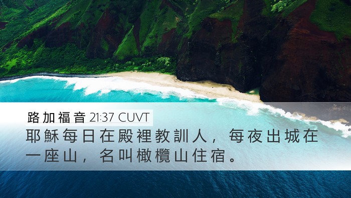 路 加 福 音 21:37 CUVT Bible Verse Image