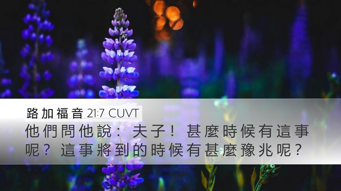 路 加 福 音 21:7 CUVT Bible Verse Image