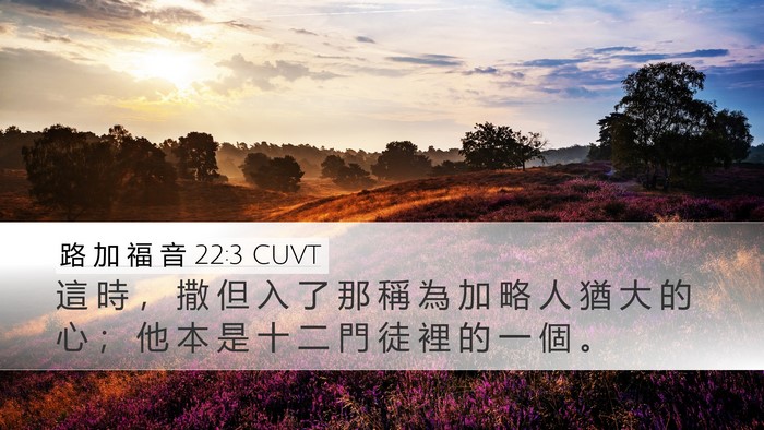 路 加 福 音 22:3 CUVT Bible Verse Image