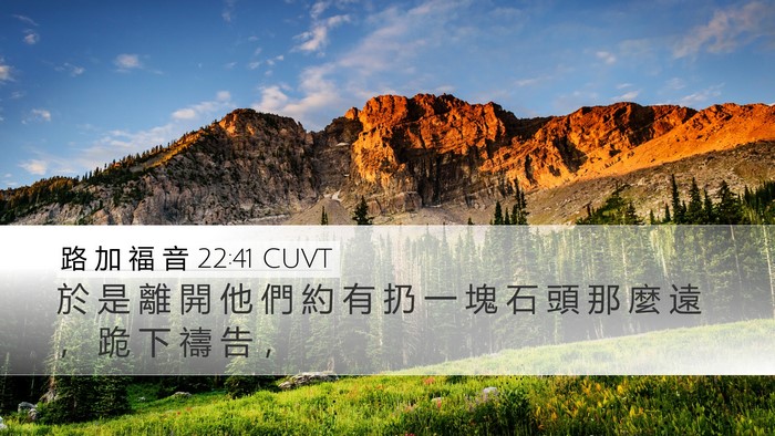 路 加 福 音 22:41 CUVT Bible Verse Image