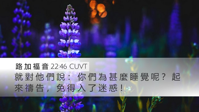 路 加 福 音 22:46 CUVT Bible Verse Image