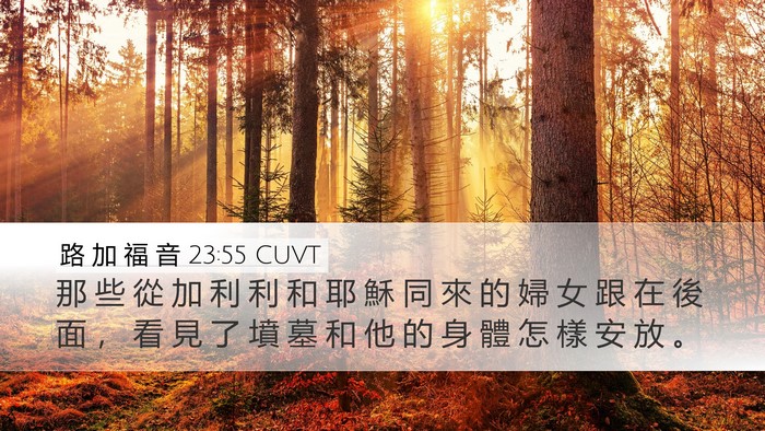 路 加 福 音 23:55 CUVT Bible Verse Image