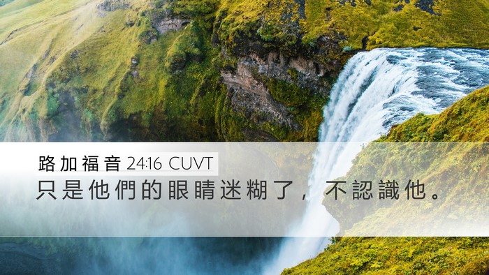 路 加 福 音 24:16 CUVT Desktop Wallpaper - 只 是 他 們 的 眼 睛 迷 糊 了 ， 不 - Desktop Bible Verse Wallpaper