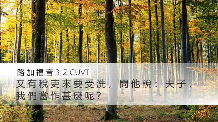 路 加 福 音 3:12 CUVT Bible Verse Image