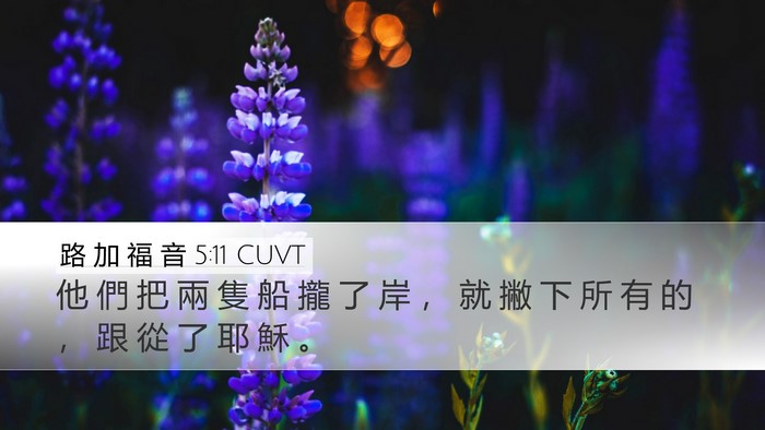 路 加 福 音 5:11 CUVT Bible Verse Image