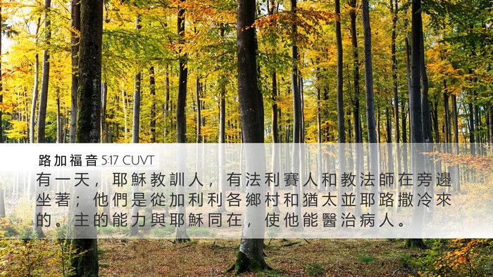 路 加 福 音 5:17 CUVT Bible Verse Image