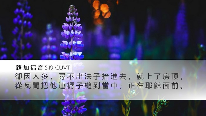 路 加 福 音 5:19 CUVT Bible Verse Image