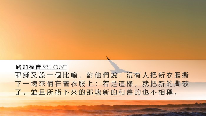 路 加 福 音 5:36 CUVT Desktop Wallpaper - 耶 穌 又 設 一 個 比 喻 ， 對 他 們 - Desktop Bible Verse Wallpaper