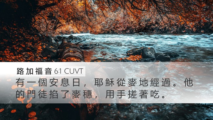 路 加 福 音 6:1 CUVT Desktop Wallpaper - 有 一 個 安 息 日 ， 耶 穌 從 麥 地 - Desktop Bible Verse Wallpaper