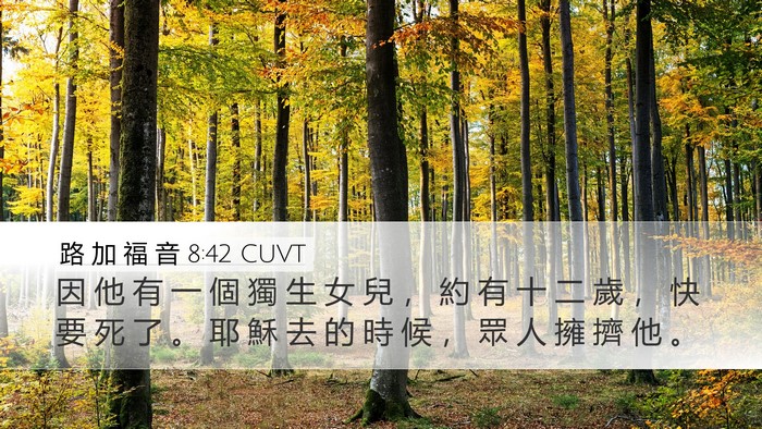 路 加 福 音 8:42 CUVT Bible Verse Image