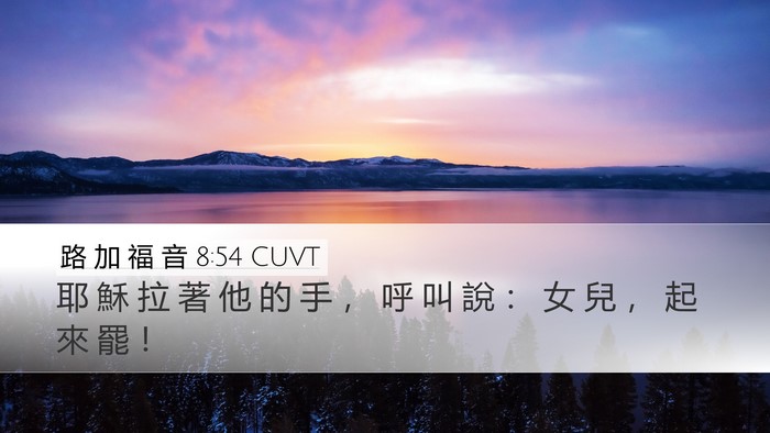 路 加 福 音 8:54 CUVT Bible Verse Image