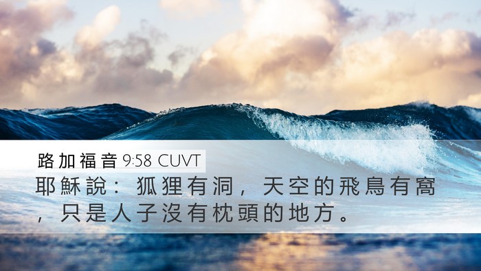 路 加 福 音 9:58 CUVT Bible Verse Image