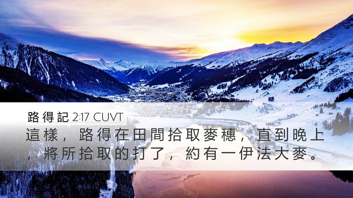 路 得 記 2:17 CUVT Desktop Wallpaper - 這 樣 ， 路 得 在 田 間 拾 取 麥 穗 - Desktop Bible Verse Wallpaper