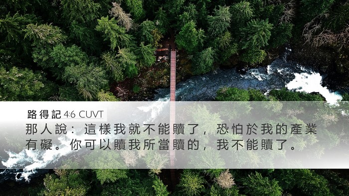 路 得 記 4:6 CUVT Bible Verse Image