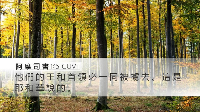 阿 摩 司 書 1:15 CUVT Bible Verse Image