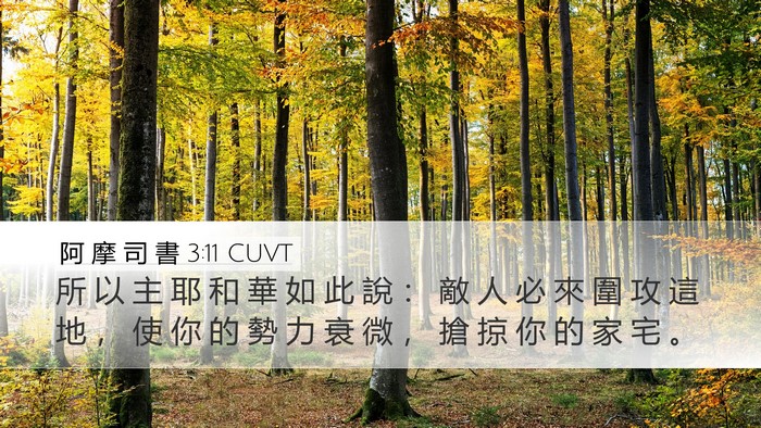 阿 摩 司 書 3:11 CUVT Desktop Wallpaper - 所 以 主 耶 和 華 如 此 說 ： 敵 人 - Desktop Bible Verse Wallpaper