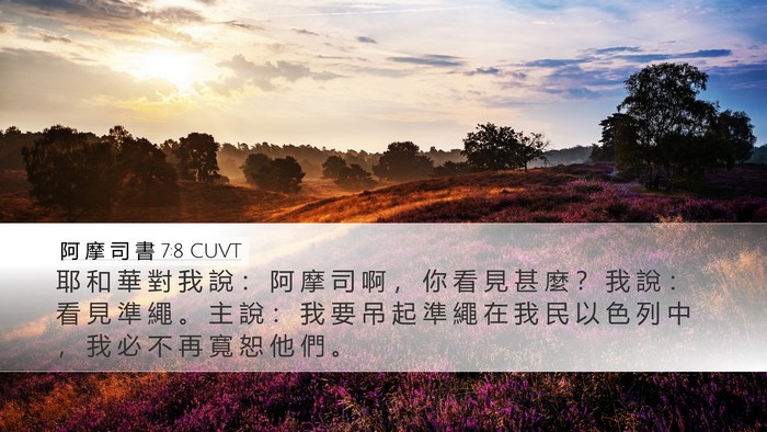 阿 摩 司 書 7:8 CUVT Bible Verse Image