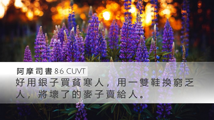 阿 摩 司 書 8:6 CUVT Bible Verse Image