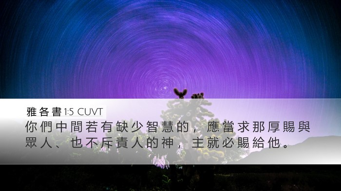 雅 各 書 1:5 CUVT Bible Verse Image