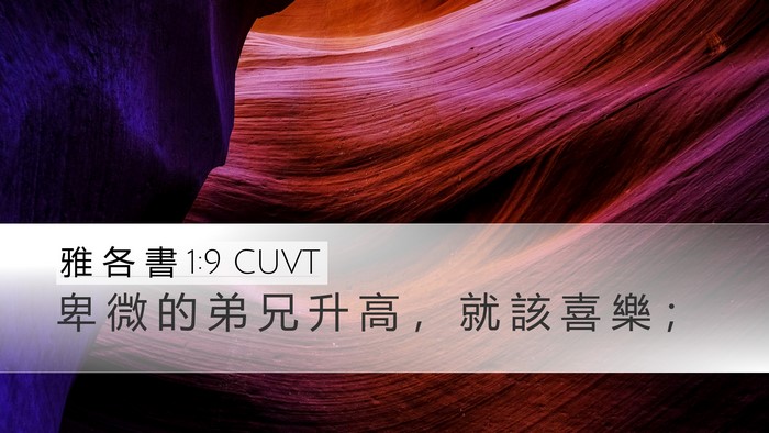 雅 各 書 1:9 CUVT Bible Verse Image