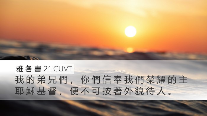 雅 各 書 2:1 CUVT Desktop Wallpaper - 我 的 弟 兄 們 ， 你 們 信 奉 我 們 - Desktop Bible Verse Wallpaper